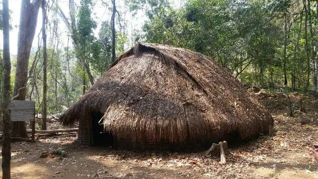 A traditional house with a low, steep thatched-grass roof reaching almost to the ground, among trees