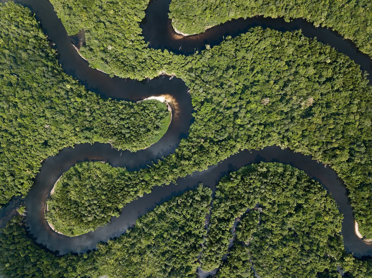 Aerial view of a dark river looping through unbroken green rainforest