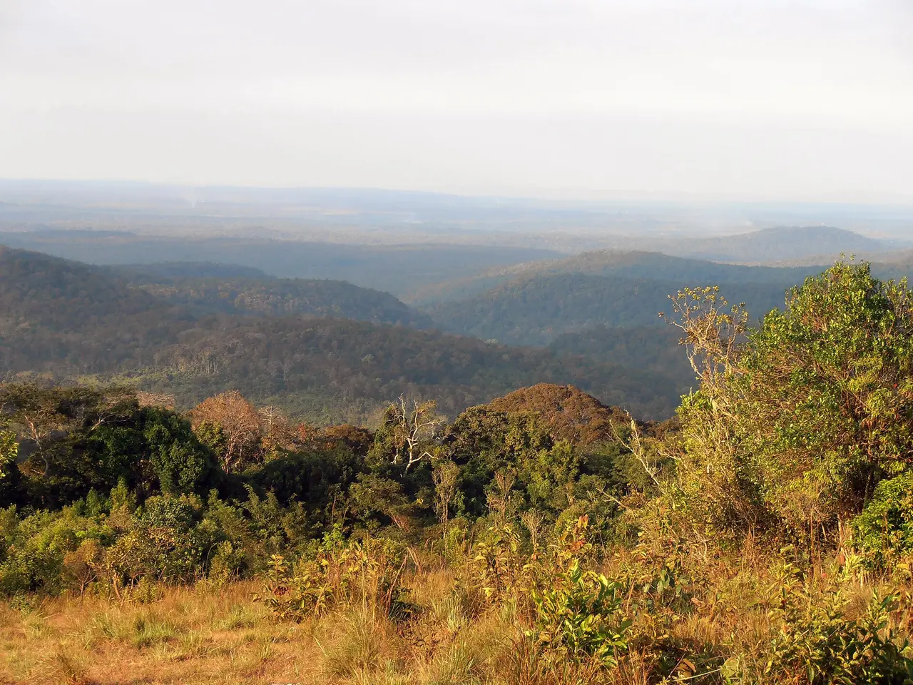 Forested ridges fading into haze below a dry-season grassy hilltop in Mondulkiri