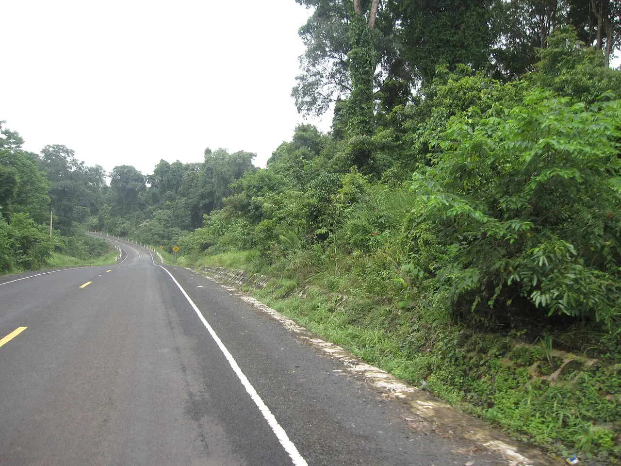 A paved two-lane road curving through green forest under a white sky
