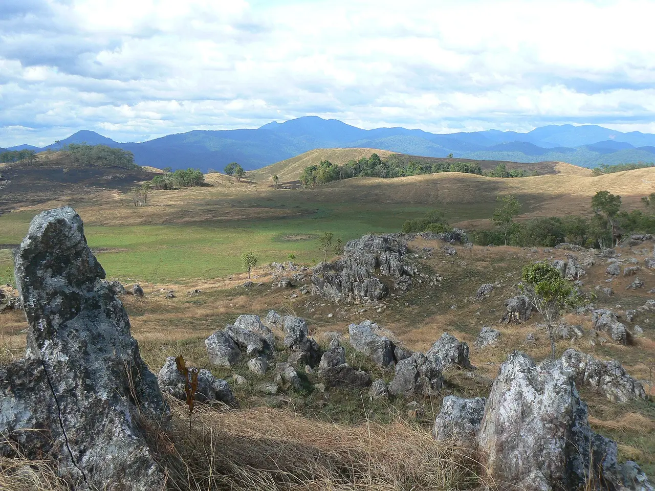 Grassland scattered with weathered grey boulders, with blue mountains on the horizon